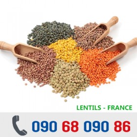 ĐẬU LĂNG KHÔ - Lentil Beans - PHÁP / MỸ